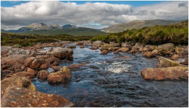 Peaceful Woodland Escapes Near Ullapool